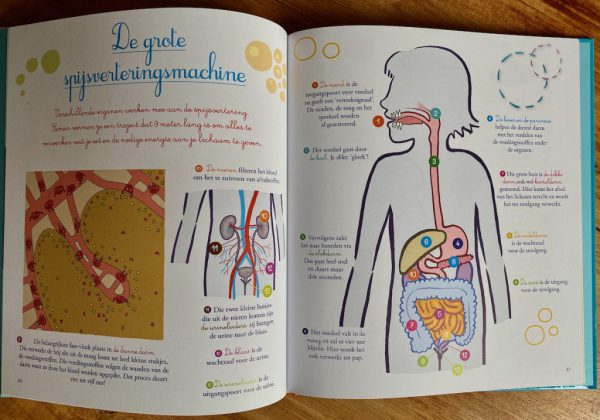 Recensie: Zo werkt het menselijk lichaam, het boek met uitleg voor