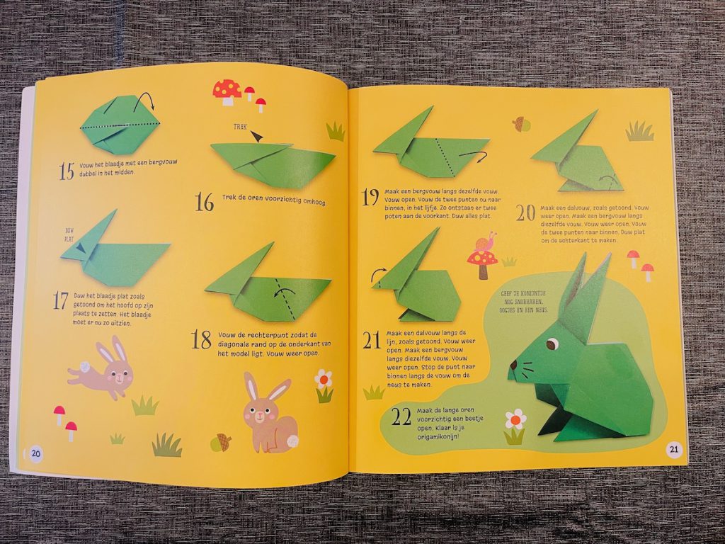 het leukste origamiboek