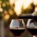 Rode wijnen vergelijken: hoe herken je het verschil tussen de verschillende smaakprofielen?