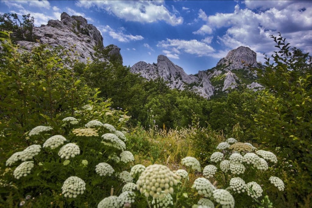 Ontdek de 7 mooiste wandelgebieden in Kroatië