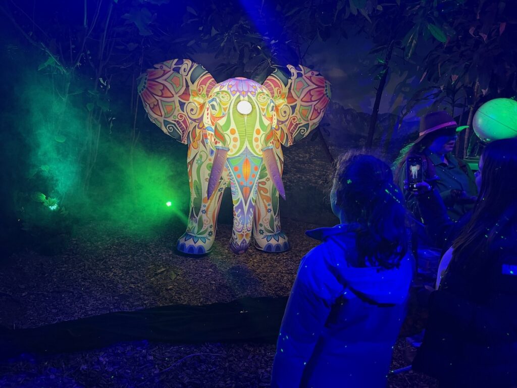 Jungle by Night in Almere Jungle